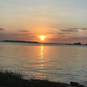 Meet your Posher, Rose